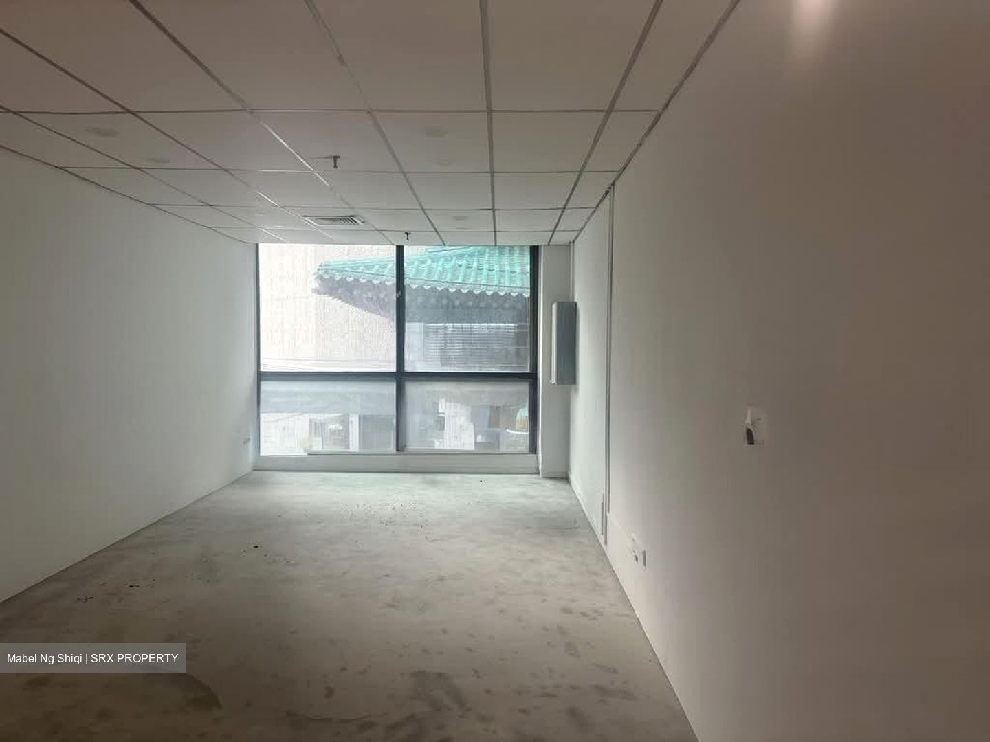 Lucky Plaza (D9), Shop House #567522701